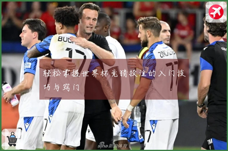 轻松掌握世界杯竞猜投注的入门技巧与窍门