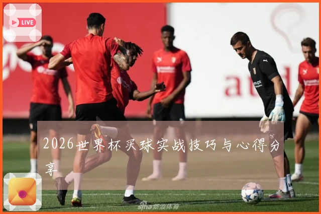 2026世界杯买球实战技巧与心得分享