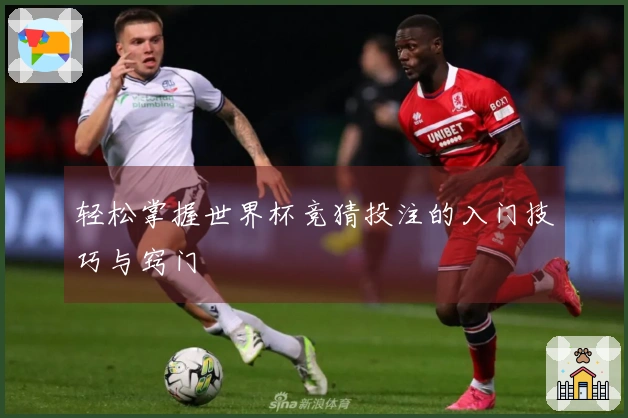 轻松掌握世界杯竞猜投注的入门技巧与窍门