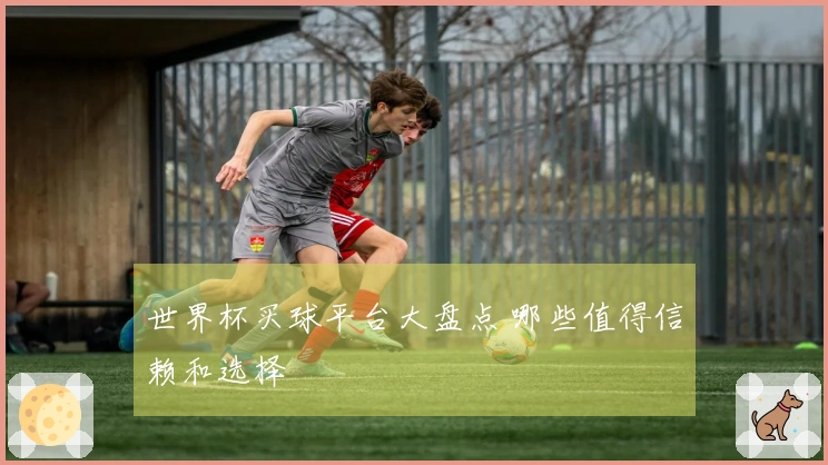 世界杯买球平台大盘点 哪些值得信赖和选择