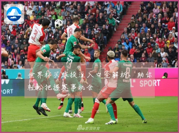 世界杯买球投注入口全解析，助你轻松把握赛事机会